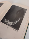 J14 - The Model | William Mortensen